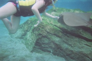 Miranda petting a cownose ray