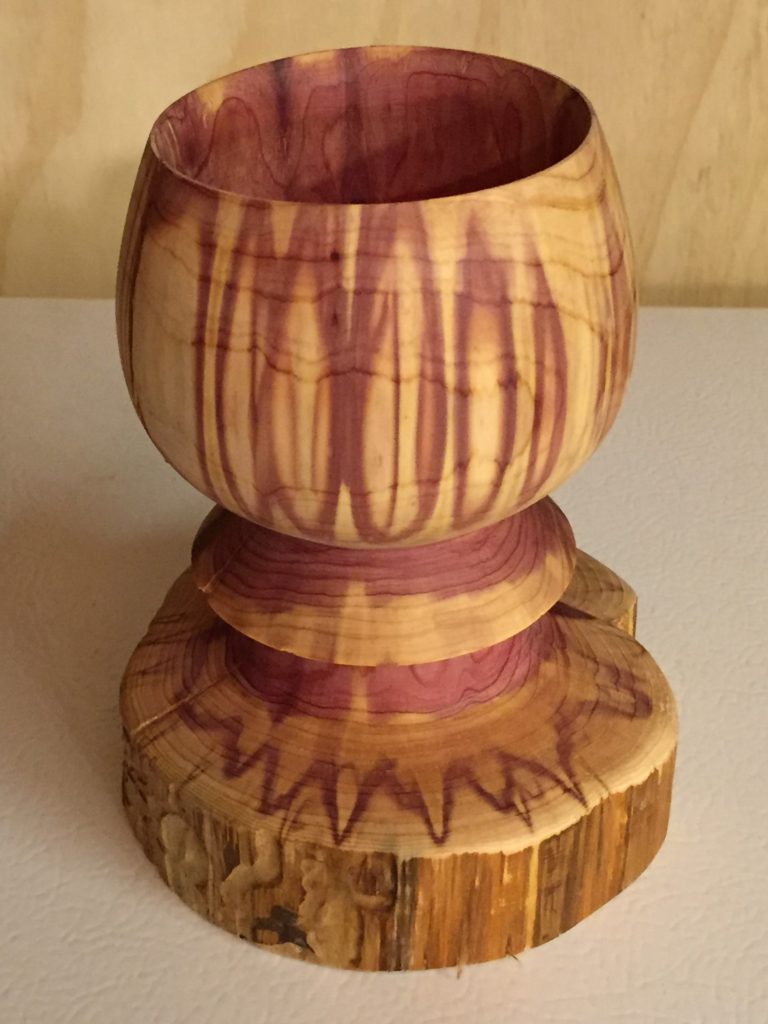 Goblet emerging from a cedar log